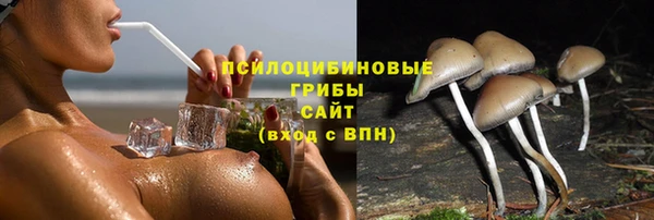 герыч Корсаков