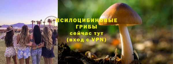 прущая мука Абаза