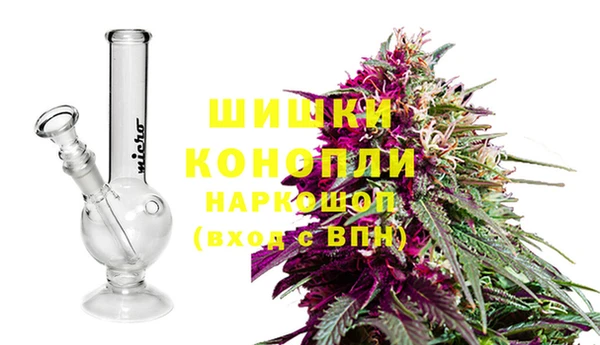 стаф Абдулино