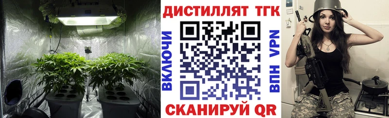 гидра маркетплейс  Каргополь  маркетплейс Telegram  купить   ТГК вейп с тгк 