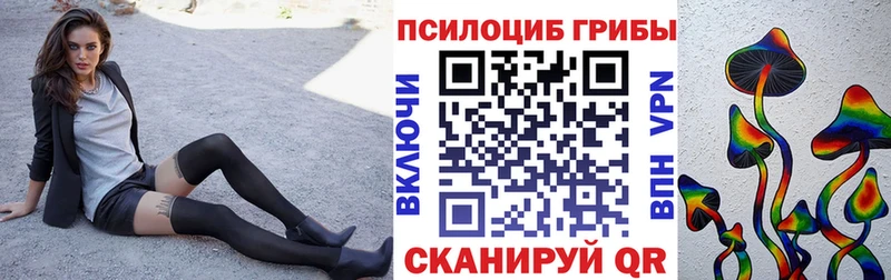 Псилоцибиновые грибы GOLDEN TEACHER  как найти наркотики  Каргополь 